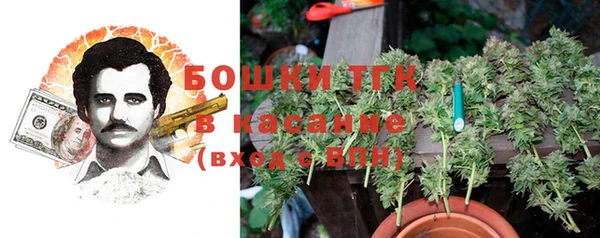ПСИЛОЦИБИНОВЫЕ ГРИБЫ Балахна