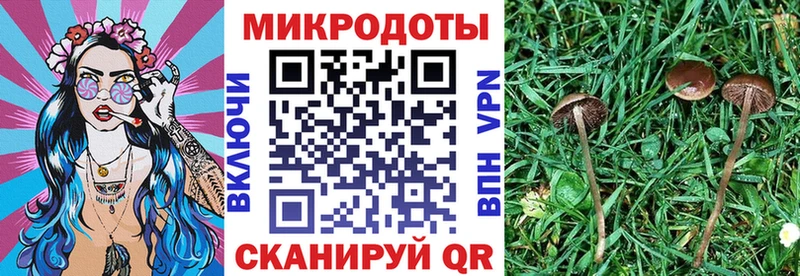 Псилоцибиновые грибы Cubensis  Купить закладки  Катайск 